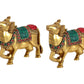 Brass Kamdhenu Cow Pair Wall Hanging Vastu Gau MATA Statues for Home Decor and Ofice Wall Decor Vastu Pooja Figurine (Height: 4 inch) multicolour