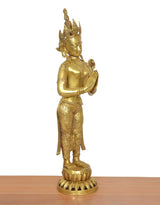 Namaste Standing Tara brass murti, angled view, crowned head in namaste