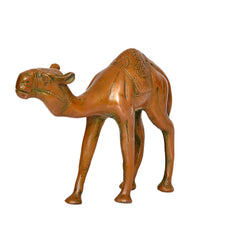Brass camel figurine, 6-inch height, front-left view, detailed head and body engraving