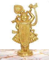 Brass Shreenathji statue side view, golden figure with detailed skirt and raised arm