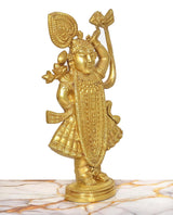 Brass Shreenathji statue from side, golden patterned dress and round pedestal base