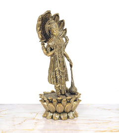 Vishnu statue on lotus with Sheshnag serpent, detailed side view of raised arms