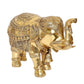 Brass Elephant Figurine - Decorative Statue for Home Decor, Feng Shui, and Good Luck (Height 10 Inch)