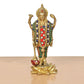 Brass Lord Vishnu Standing Idol (Height 8 Inch) (Multicolor 1)