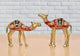 Brass Camel Figurine Pair Showpiece (Height : 7 inch)