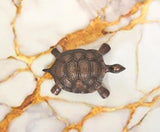 Handcrafted brass tortoise figurine, 1.5 in, back view with carved shell scale details