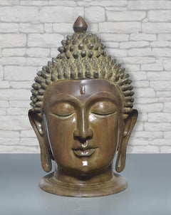 Brass Buddha head statue with serene face, curled hair texture, and elongated earlobes