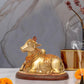 Brass Shiva Seated Nandi Statue Nandi Bull for Shiv Temple Showpiece and Home Decor Pooja Temple (Height: 5 Inch)