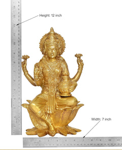 AONA brass Lakshmi statue with height and width markers; seated on lotus, 12 inch