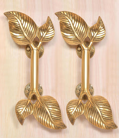 Brass twin-leaf door handle pair on two backplates, golden finish