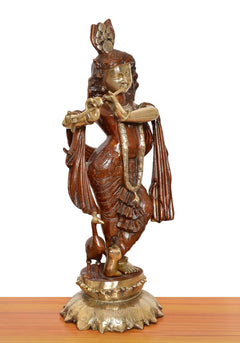 Three-quarter view of Krishna idol playing flute, golden pedestal and red-brown robe