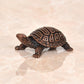 Copper Handcrafted Tortoise Figurine Kachua Unique Home Decor Vastu Accent (Height: 1 inch)