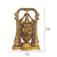 Tirupati Balaji Murti Cold Cast Idol for Pooja Room in Resin | Height 8 inch