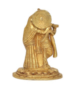 Rear view Radha Krishna brass idol, circular halo and draped garments on pedestal