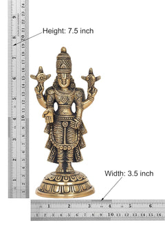 Brass Tirupati Balaji statue with size markings: 7.5 in height, 3.5 in width