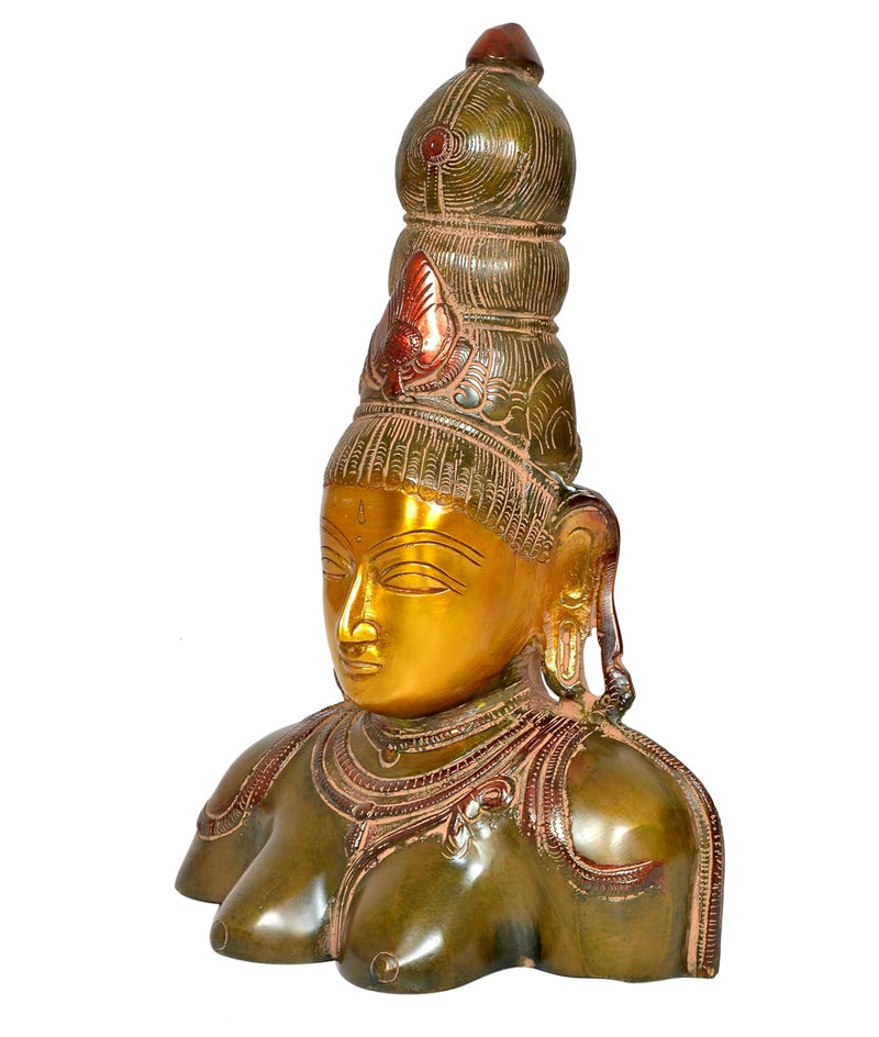 Brass Goddess Parvati Bust Statue for Home Decor Pooja Mandir (Height 10 Inch) (Multicolor)