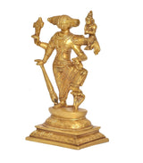 Brass Varaha Lakshmi Varaha statue side view, engraved ornaments on pedestal base