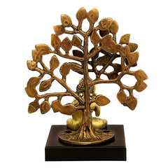 Brass Buddha idol under tree with detailed foliage, black square base
