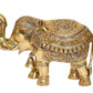 Brass Elephant Figurine - Decorative Statue for Home Decor, Feng Shui, and Good Luck (Height 10 Inch)