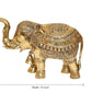 Brass Elephant Figurine - Decorative Statue for Home Decor, Feng Shui, and Good Luck (Height 10 Inch)