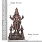 Copper Sathya Narayana Swamy Combo Avatar of Lord Vishnu for Home Decor Mandir Pooja Temple (Height 6.5 Inch)