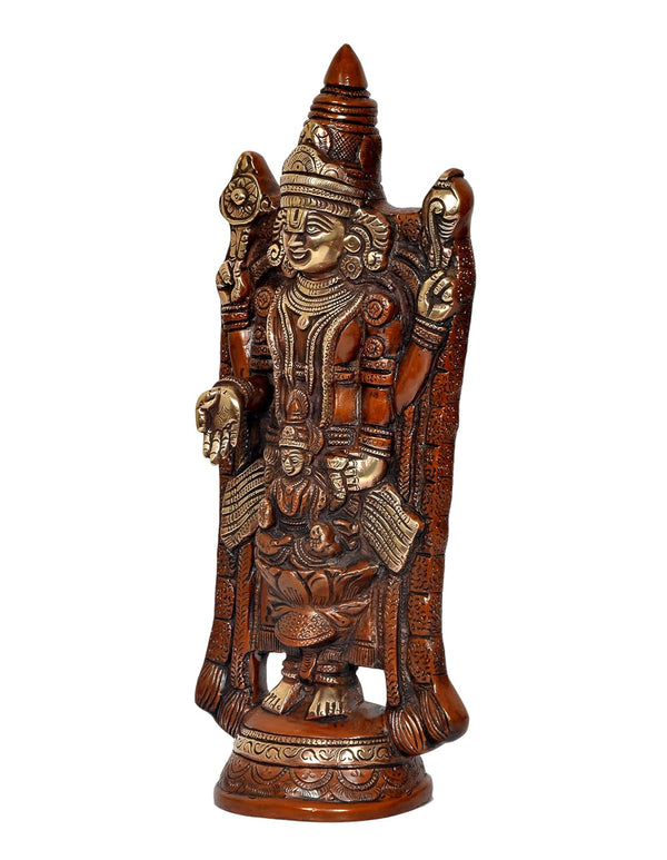Brass Lord Tirupati Bala Ji Idol Statue Home Temple Office Figurine Showpiece Multicolour (Height 12 Inch) Study Setting