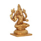 Brass Varahi Vishnu Avtaar Idol Figurine Sculpture Showpiece Home Temple Office Golden (Height 3.5 Inch)