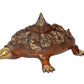 Brass Ashtalakshmi Shree Yantra on Tortoise Figurine Kachua Unique Home Decor Vastu Accent (Height: 6.5 inch)