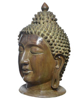 Brass Buddha head statue three-quarter view, calm facial lines and coiled hair texture