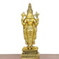 Bronze Lord Tirupati Bala Ji Idol Statue for Home Temple Office Decor Figurine Showpiece (Height 8 Inch)