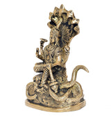 Side view of brass Vishnu statue on coiled serpent, raised hand and ornamental base