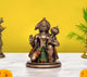 AONA Resin Hanuman JI Sitting in Blessing Idol 