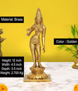 Golden brass Devi Uma Parvati statue, full-body view on pedestal, 12-inch height