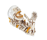 Resin-Weinständer-Skulptur mit Schädelkopf, Zähnen und goldenen Akzenten