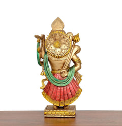 Resin Shreenathji murti back view, patterned gold crown, pink pleated skirt, green sash