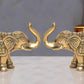 Brass Elephant Figurine - Decorative Statue for Home Decor, Feng Shui, and Good Luck |Pack of 2| (Height 5 Inch)