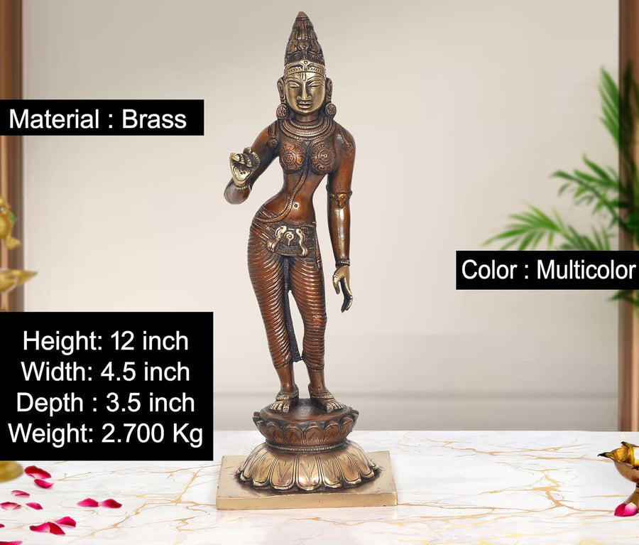 Brass Devi Uma Parvati Statue (Height: 12 inch) Craft Detail