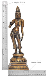 Size chart for 12-inch Brass Parvati statue (height 12 in, width 4 in)
