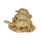 Brass Turtle Figurine - Elegant Home Decor | Vastu Symbol | Two Smaller Turtles Mounted on a Large Lurtle (Height 3 Inch)