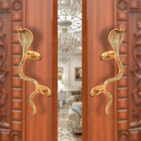 Brass snake door handle with two golden backplates on door