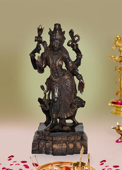 Ardhnarishwar (Half Shiva & Parvati) | Ardhnari | Shiv Parvati | Height : 18 Inch