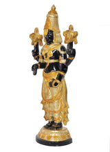 Brass Tirupati Bala Ji idol statue, side view with gold ornaments and black arms