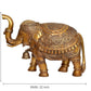 Brass Elephant Figurine - Decorative Statue for Home Decor, Feng Shui, and Good Luck (Height 16 Inch)