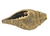 Brass shankh wall hanging, underside view with carved patterns and hollow opening