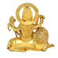 Durga Maa Sitting on Lion Statue Religious Goddess Hindu Devi Maa Durga Brass Sculptures Height - 11.5 Inch