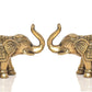 Brass Elephant Figurine - Decorative Statue for Home Decor, Feng Shui, and Good Luck |Pack of 2| (Height 5 Inch)