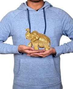 Brass elephant figurine held in hands, small decorative statue