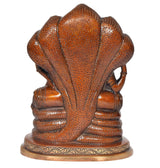 Back view brass Sheshnag with carved scales base, Lakshmi-Vishnu figurine