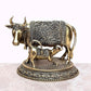 Fine Brass Cow with Calf Pooja Mandir Home Decor (Height 2.5 Inch)