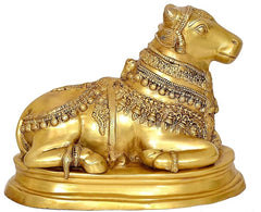Brass Nandi cow statue idol front angle, polished body with engraved band on neck